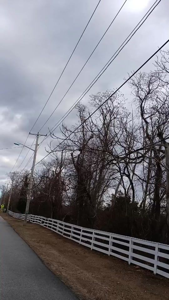 TikTok video thumbnail by michaellorch
