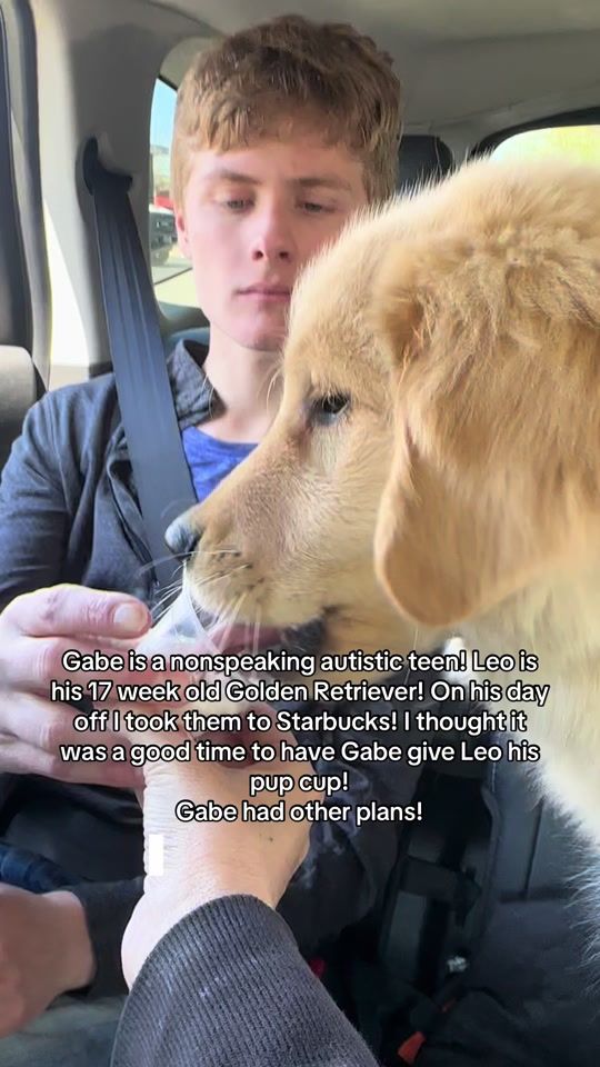 TikTok video thumbnail by nicolegottesmann1