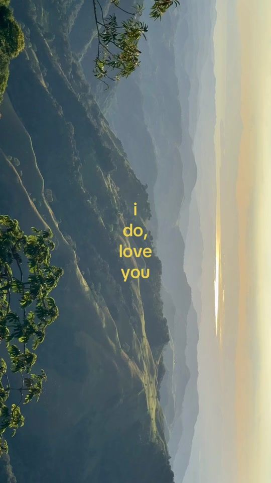 TikTok video thumbnail by xtravangnt