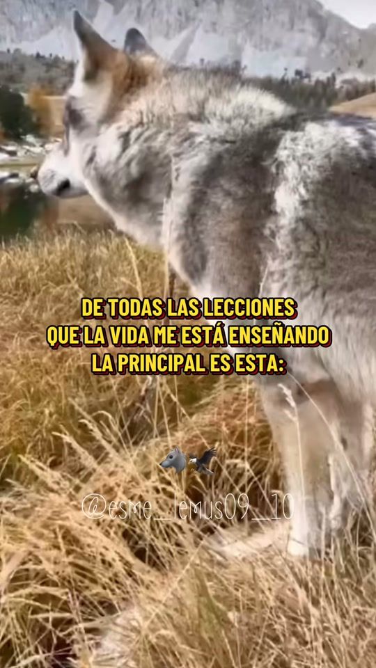 TikTok video thumbnail by esme_lemus09_10