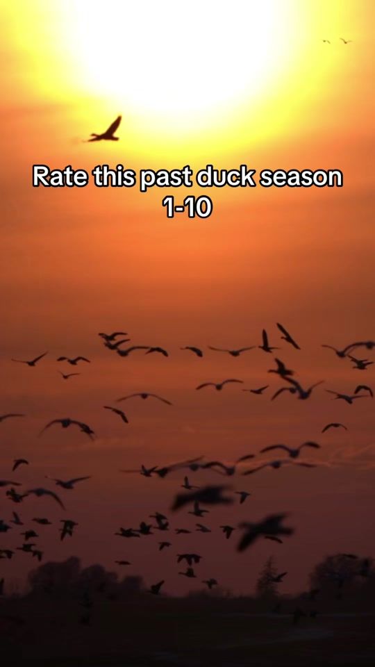 TikTok video thumbnail by atlanticflywaysupply