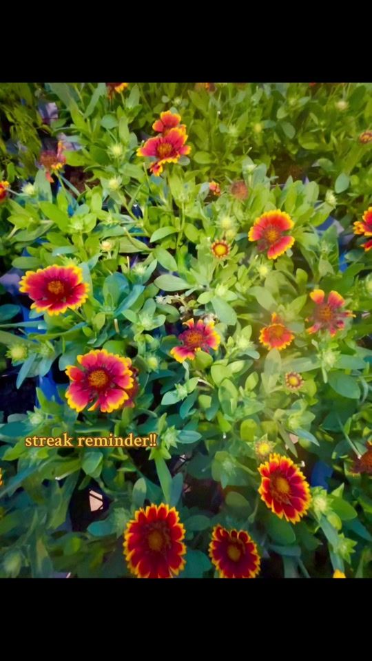 TikTok video thumbnail by its.carilyn