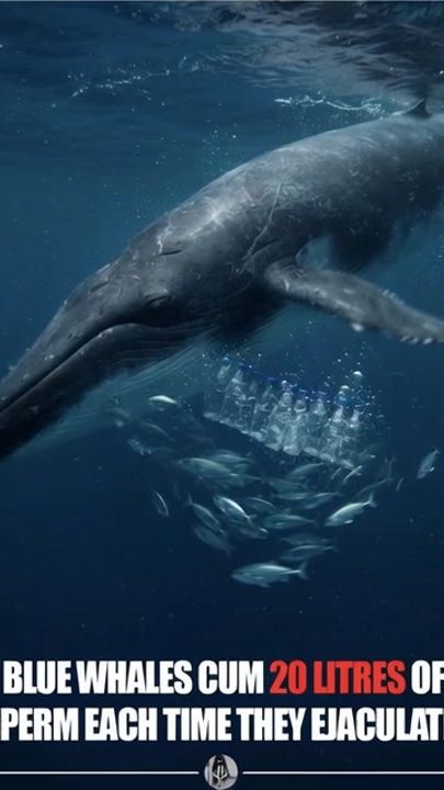 TikTok video thumbnail by wildlifecentral1
