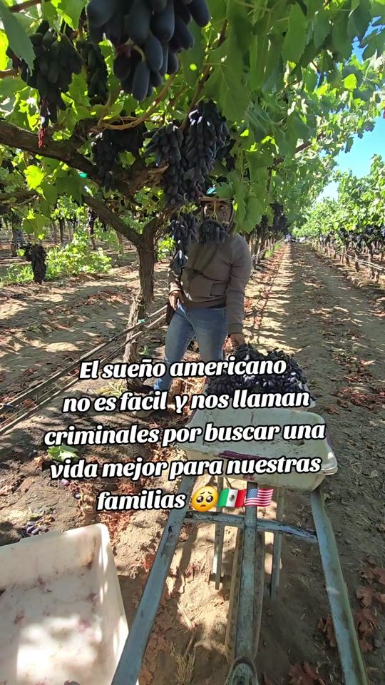 TikTok video thumbnail by librasantiago39