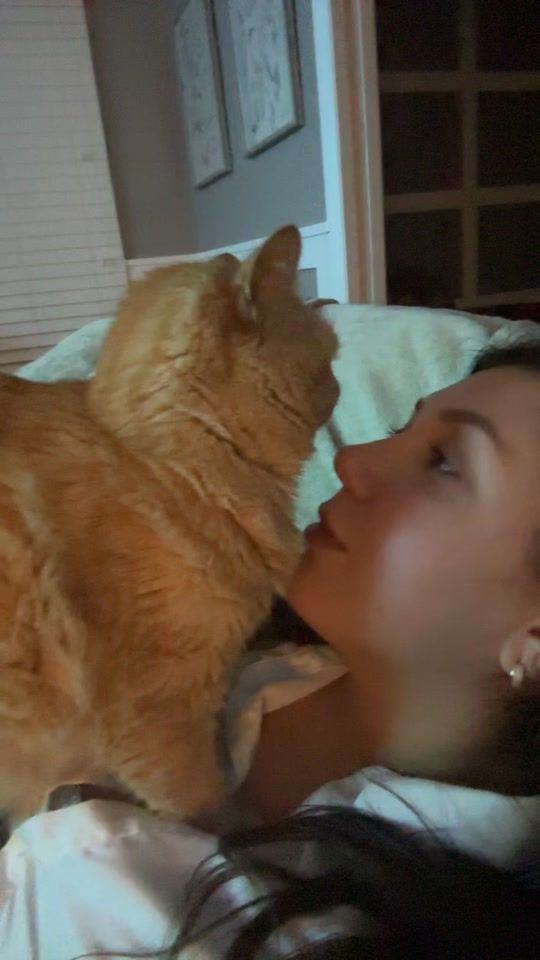 TikTok video thumbnail by timmythechonk