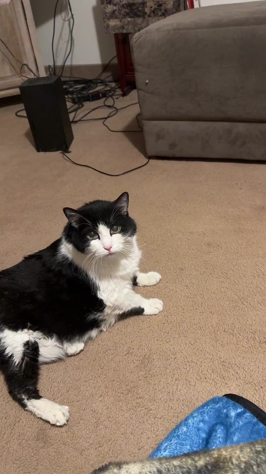 TikTok video thumbnail by flashgordonzoom