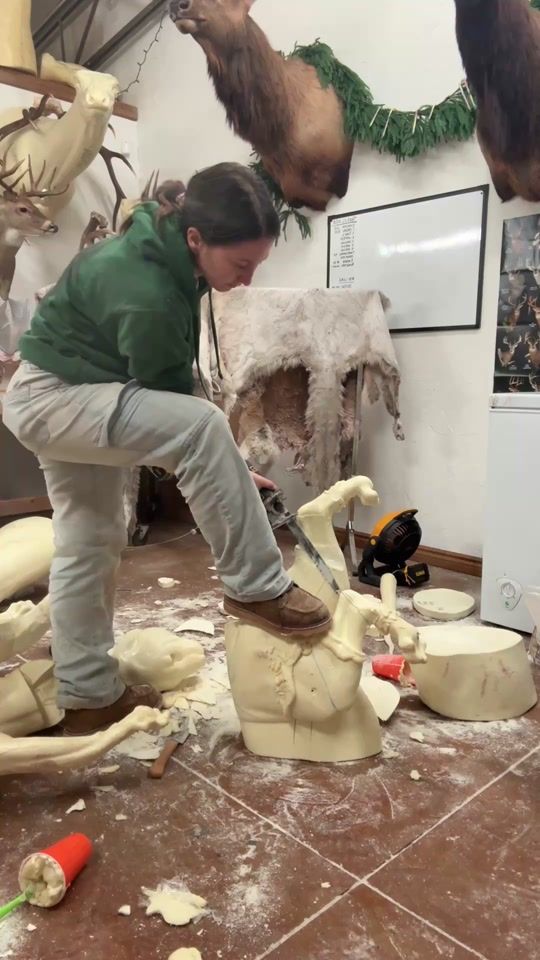 TikTok video thumbnail by ashleyeve_