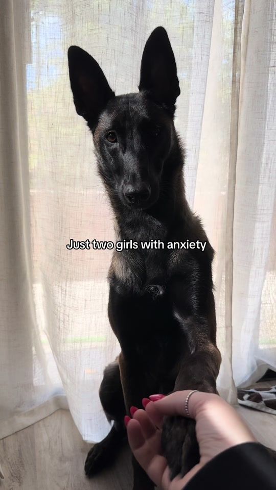 TikTok video thumbnail by 0live_the_menace