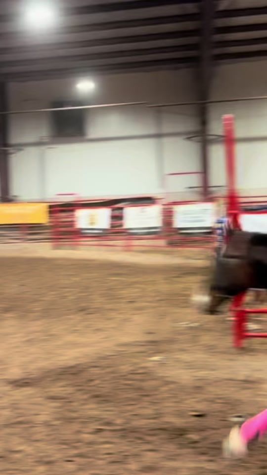 TikTok video thumbnail by paisleedixie