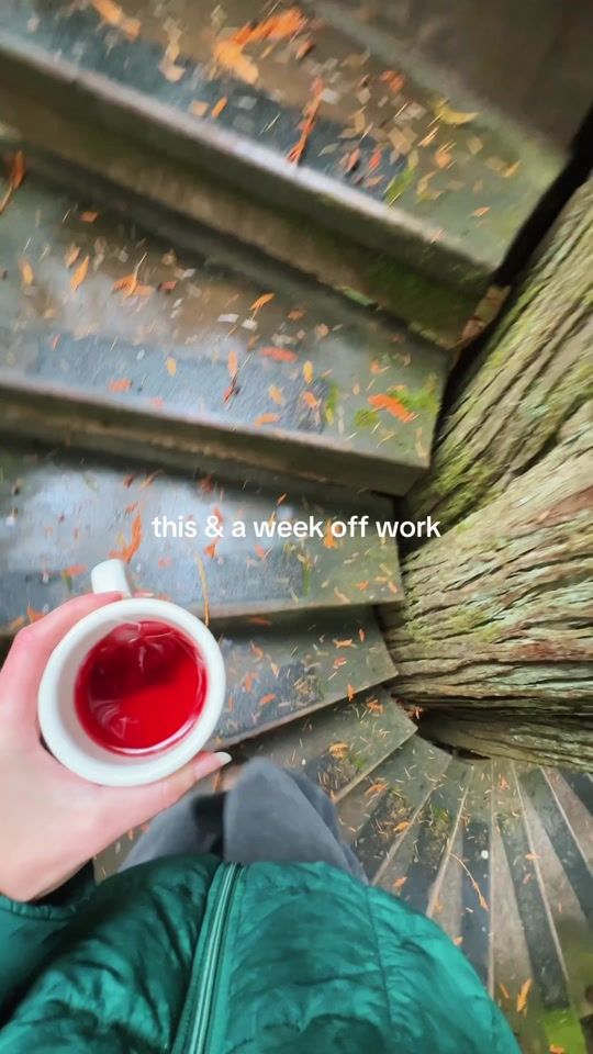 TikTok video thumbnail by treehouse_point