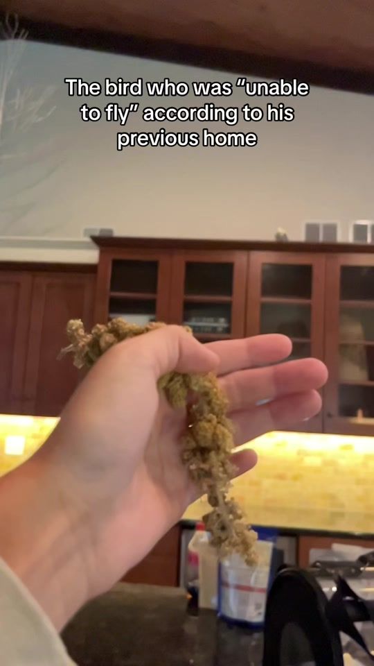 TikTok video thumbnail by beauty.of.flight