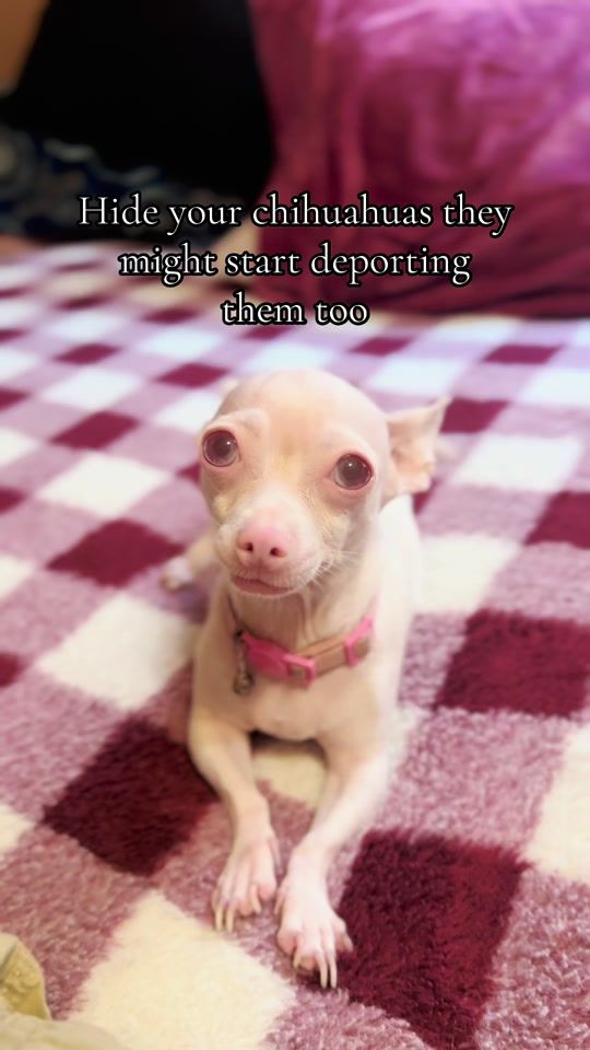 TikTok video thumbnail by redmarvel