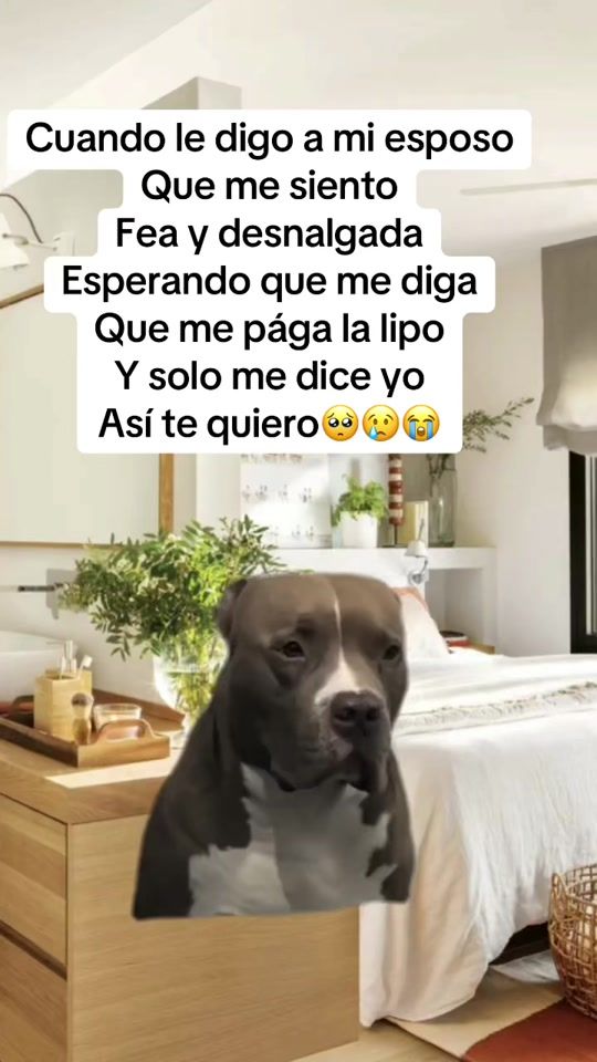 TikTok video thumbnail by niccolle03