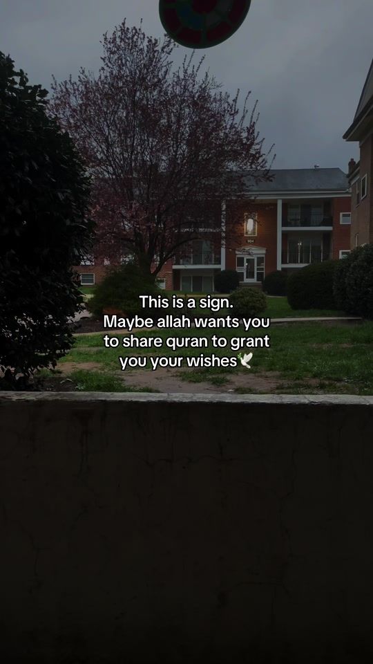 TikTok video thumbnail by elevateddunya