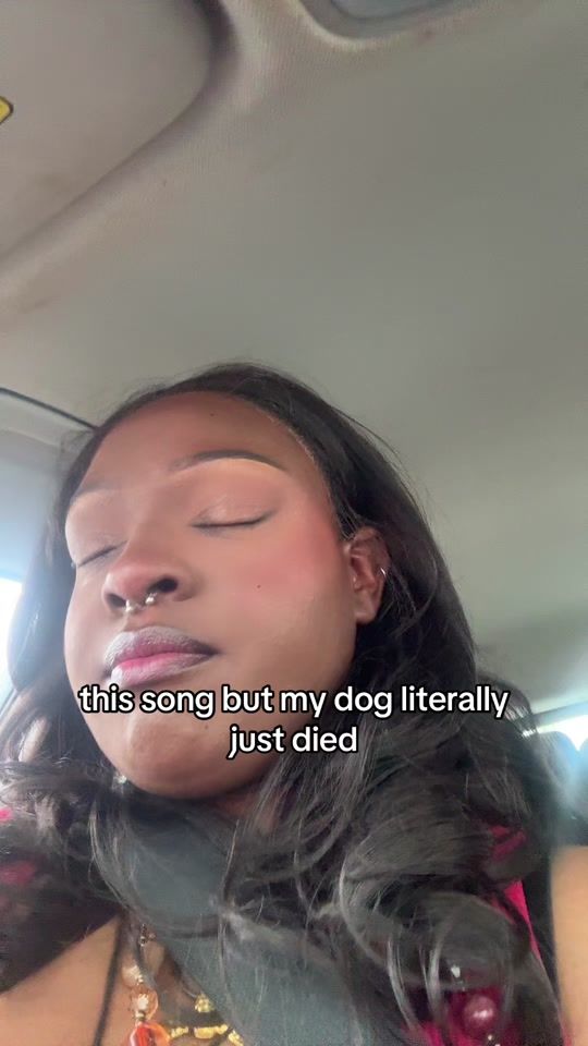 TikTok video thumbnail by wellthisisntvine