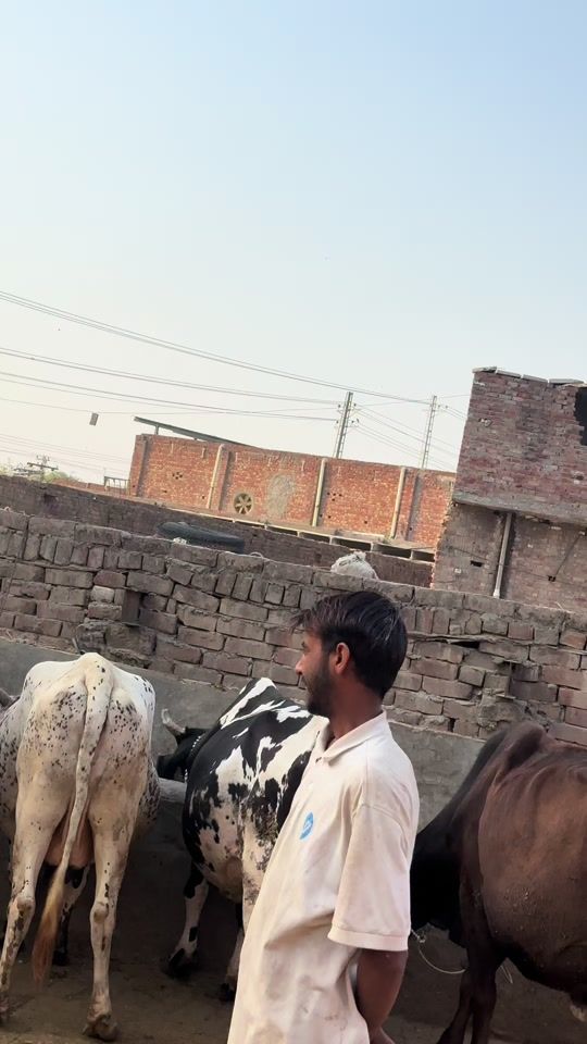TikTok video thumbnail by lahori_spiderman