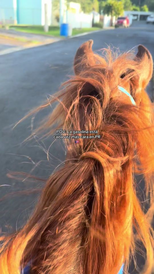 TikTok video thumbnail by alinx._6