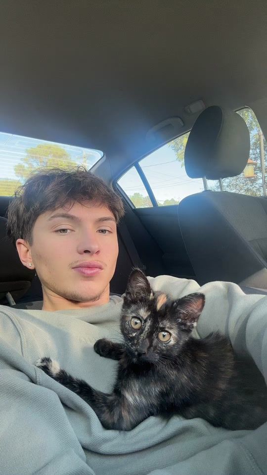 TikTok video thumbnail by theoggray