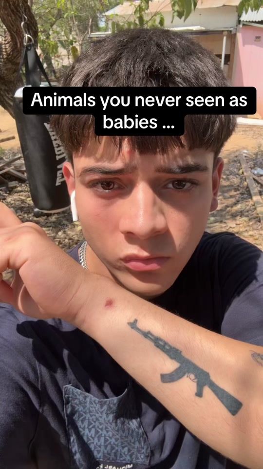 TikTok video thumbnail by darrenbenavides8