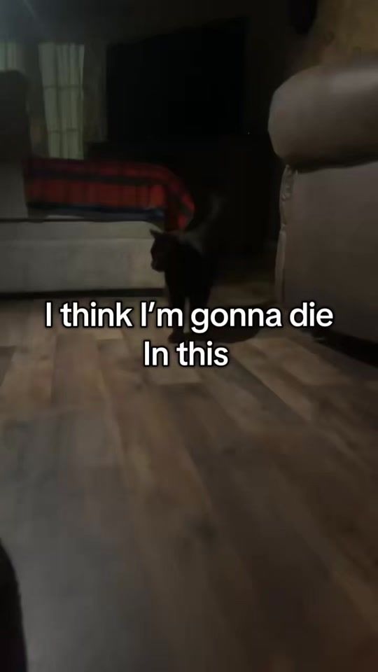 TikTok video thumbnail by avayates347