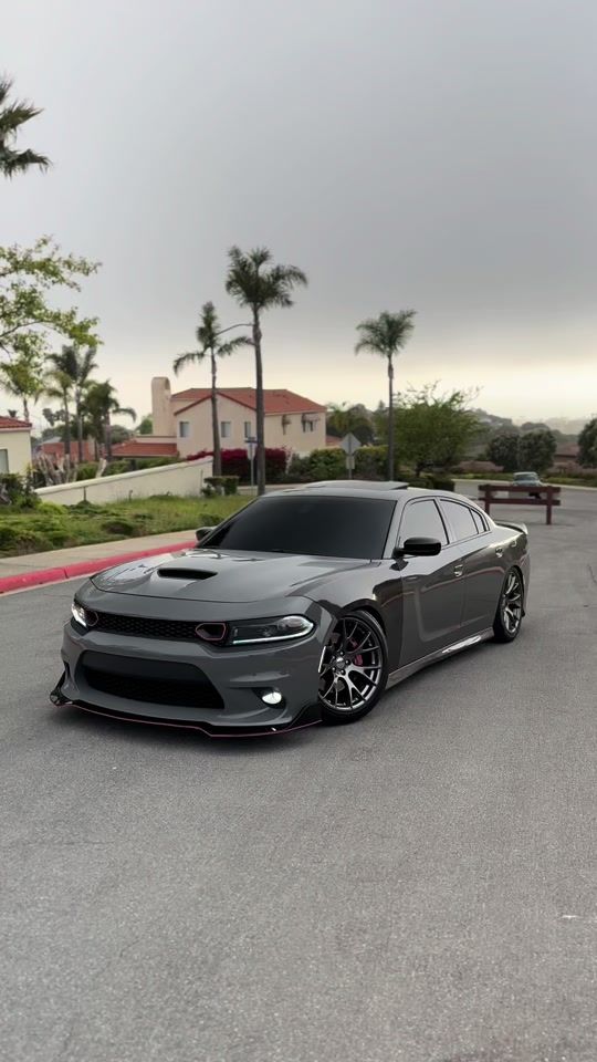 TikTok video thumbnail by srt_bino_
