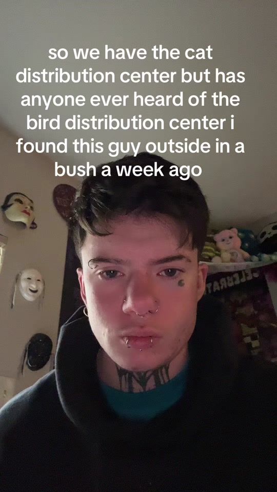TikTok video thumbnail by diobolicalaf