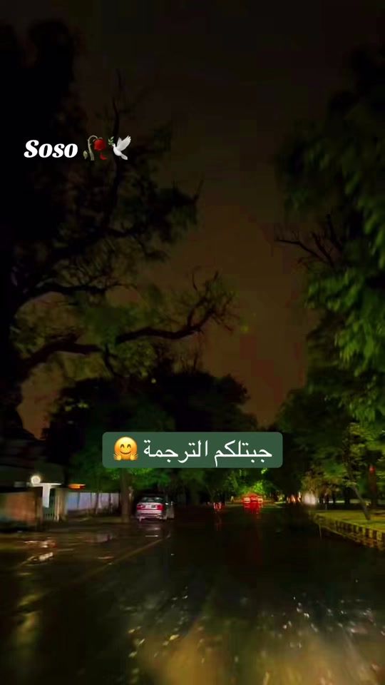 TikTok video thumbnail by soso_hzn