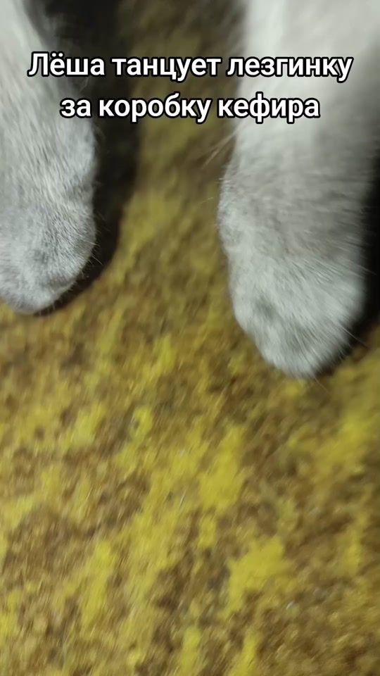 TikTok video thumbnail by black_cattop