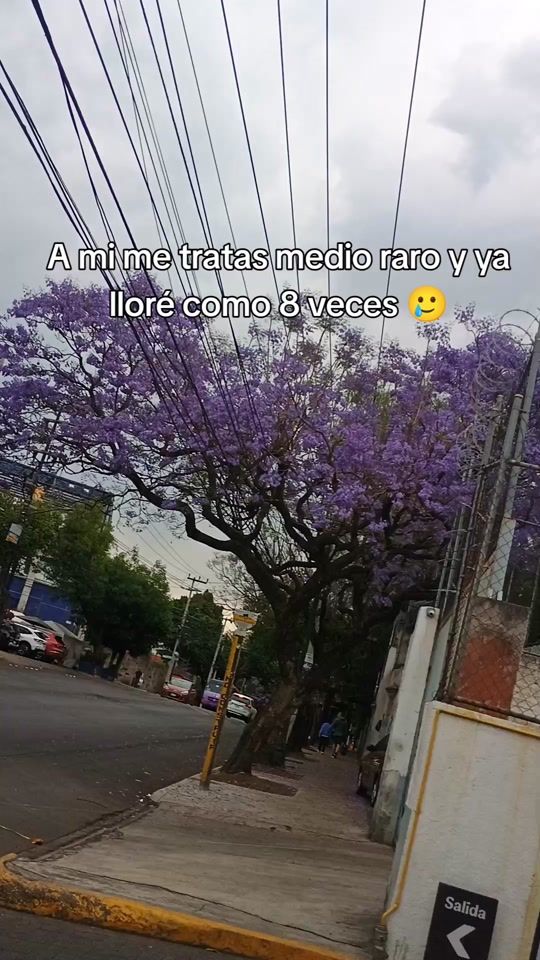 TikTok video thumbnail by frases74225