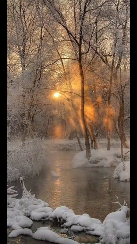 TikTok video thumbnail by carolarruda25