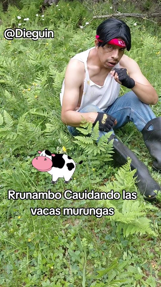 TikTok video thumbnail by lluchopupo