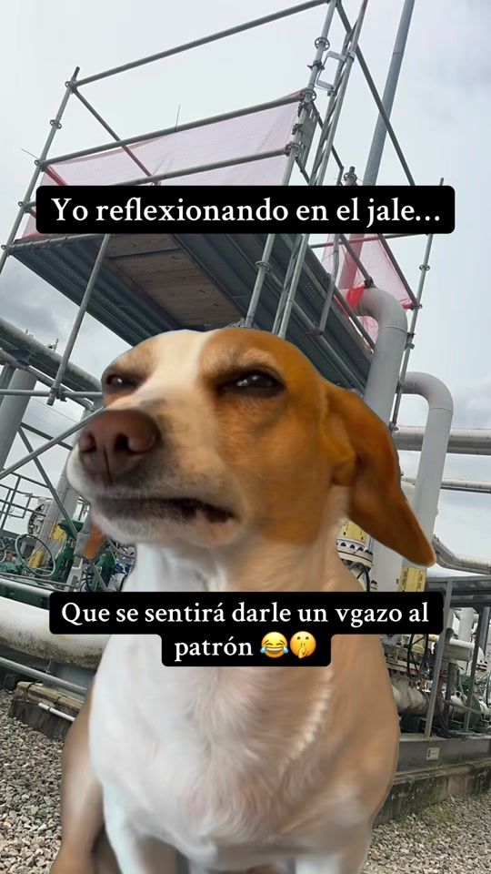 TikTok video thumbnail by mando_salazarofficial