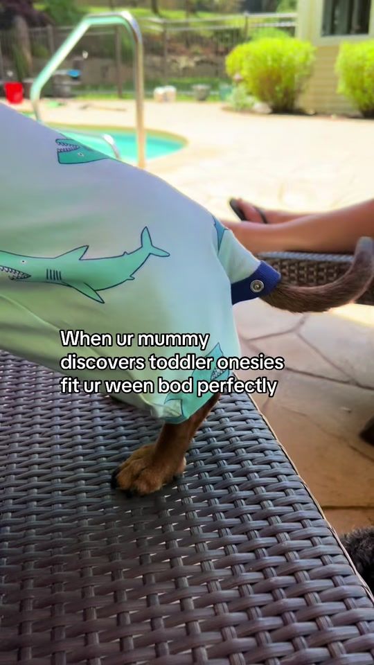 TikTok video thumbnail by weeniestrong