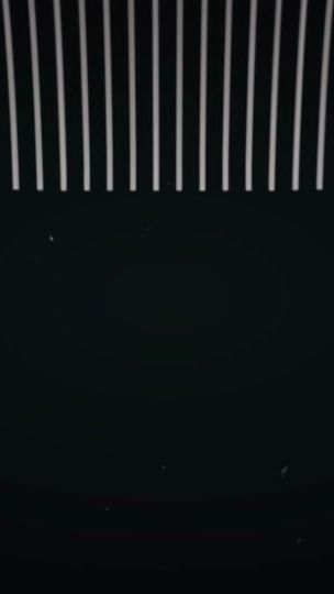 TikTok video thumbnail by sassyspringbok