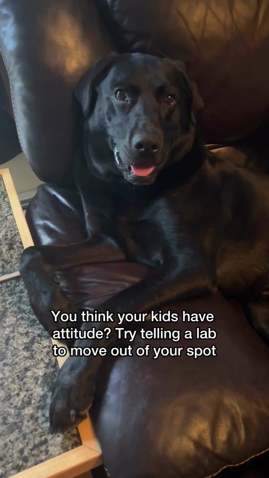 TikTok video thumbnail by imjaxthelab