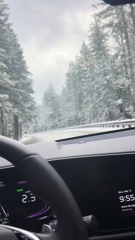 TikTok video thumbnail by partieswithlisag