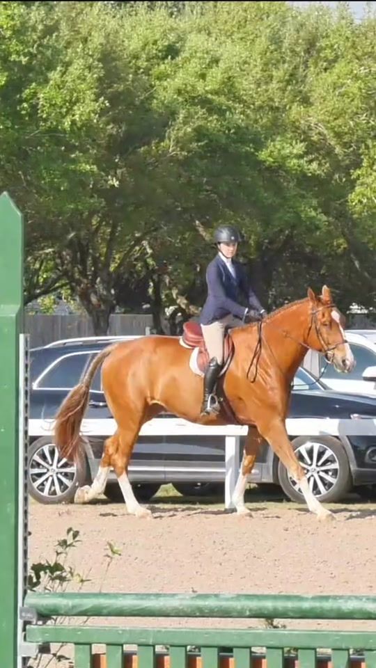 TikTok video thumbnail by sunny.equestrian