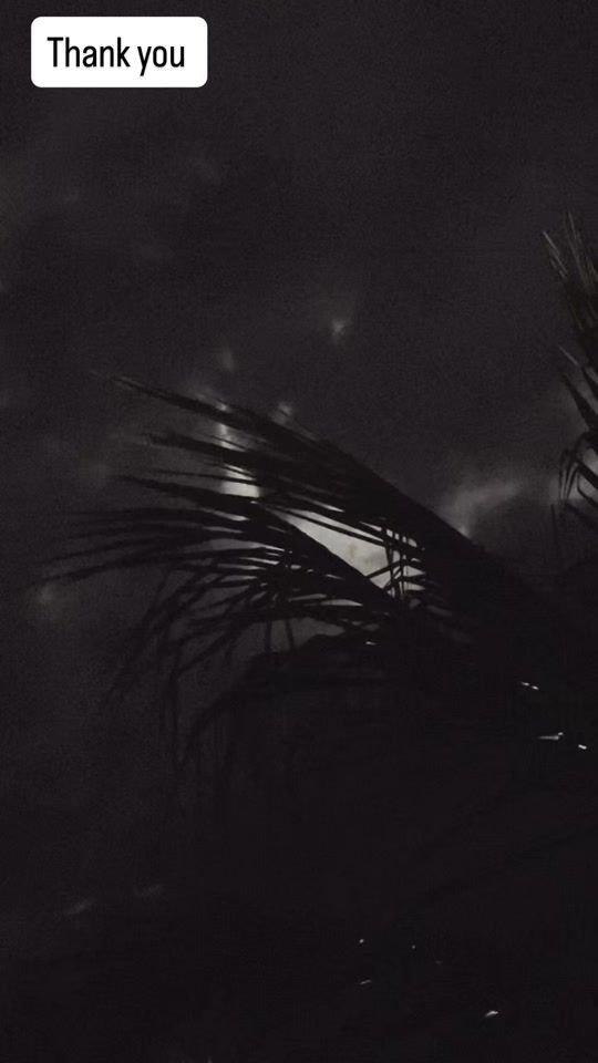 TikTok video thumbnail by dplyrics0