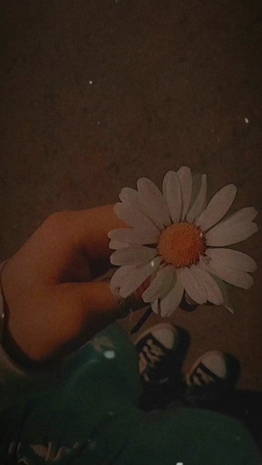 TikTok video thumbnail by letras_de_banda