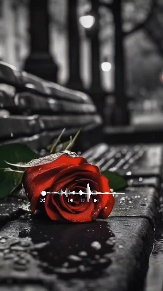 TikTok video thumbnail by rolitaslyrics08