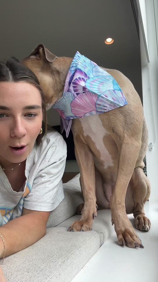 TikTok video thumbnail by missgemmalou