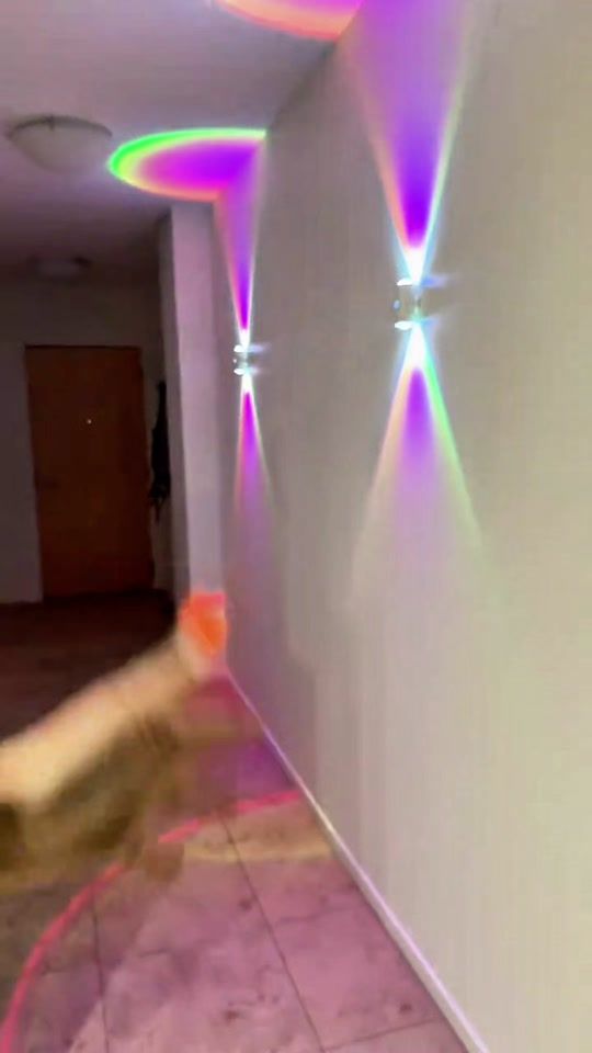 TikTok video thumbnail by grace02807