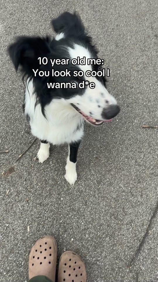 TikTok video thumbnail by yevdierauer1