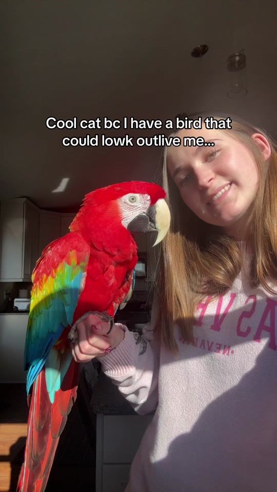 TikTok video thumbnail by alannawashington