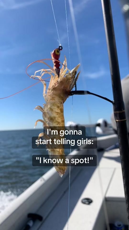 TikTok video thumbnail by johnekidd