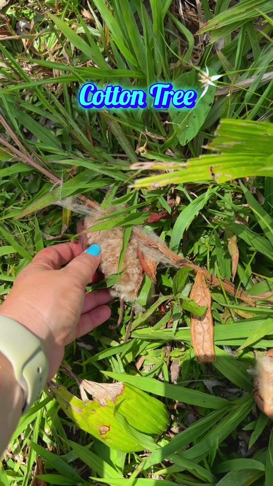 TikTok video thumbnail by offgridlace