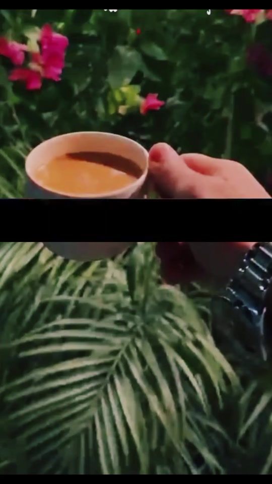 TikTok video thumbnail by nfak39