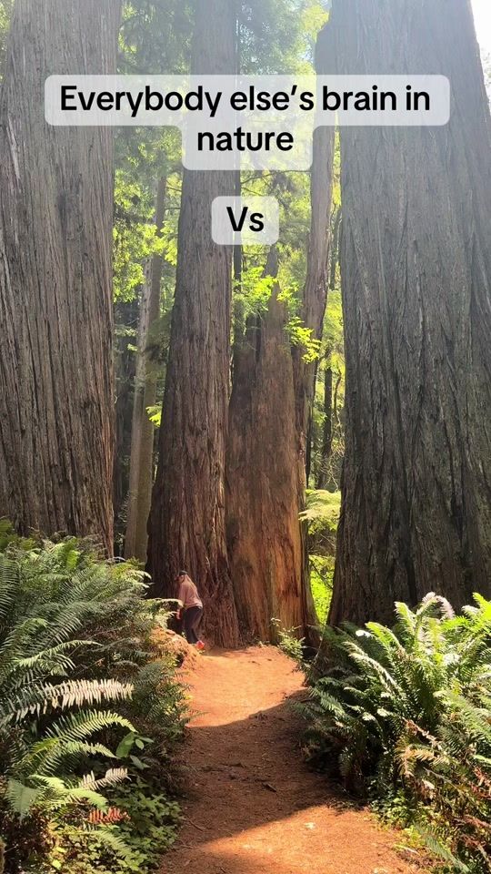 TikTok video thumbnail by mishaym