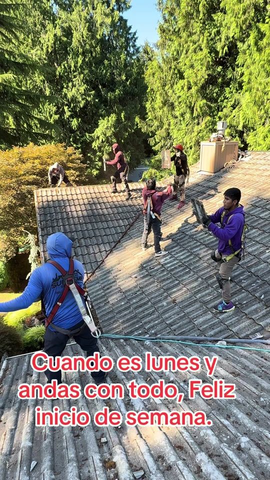 TikTok video thumbnail by ojeda1201