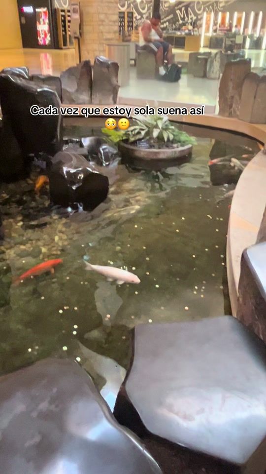 TikTok video thumbnail by auremery1